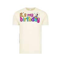 Vintage Arctic it's my birthday Vintage Tee - BundleAndBundleShop