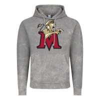 Cloud Rock lions, molloy college Vintage Hoodie - linhVisuals