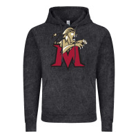 Vintage Black lions, molloy college Vintage Hoodie - linhVisuals