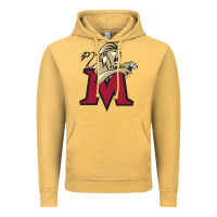 Lions, Molloy College Vintage Hoodie | Teevron