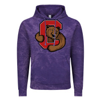 Cloud Purple The cornell big red Vintage Hoodie - linhVisuals