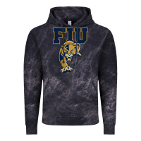 Cloud Black The fiu panthers Vintage Hoodie - linhVisuals