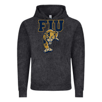 Vintage Black The fiu panthers Vintage Hoodie - linhVisuals