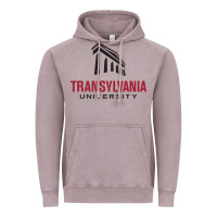 Vintage Zinc transylvania university Vintage Hoodie - linhVisuals