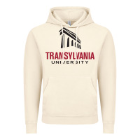 Vintage Artic transylvania university Vintage Hoodie - linhVisuals