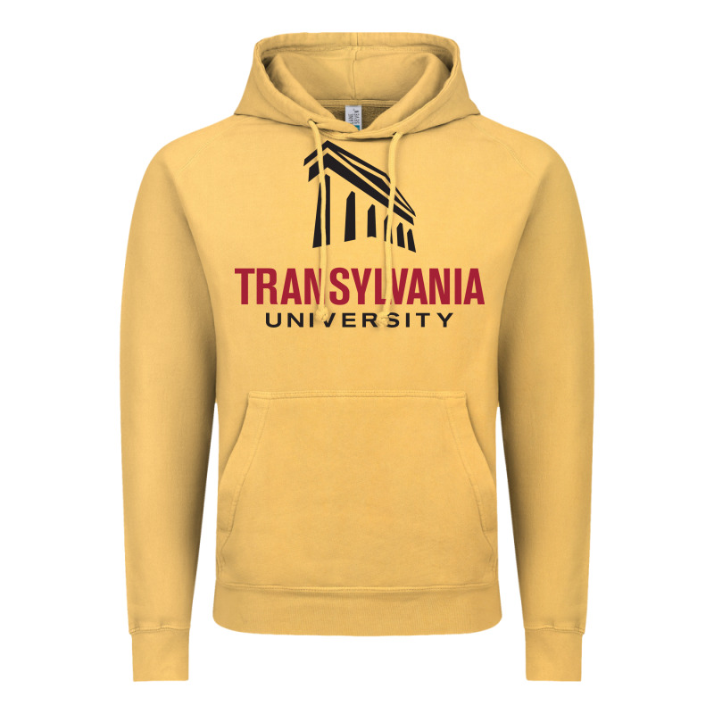 Transylvania University Vintage Hoodie by linhVisuals | Teevron