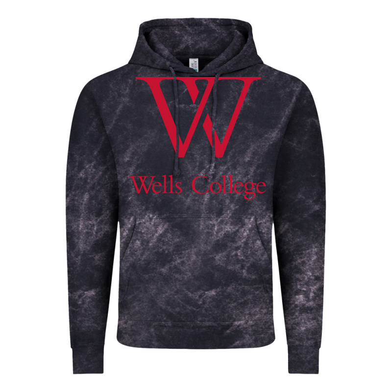 Wells College Vintage Hoodie by linhVisuals | Teevron