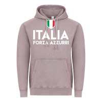 Vintage Zinc italia soccer jersey Vintage Hoodie - linhVisuals