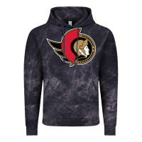 Cloud Black the senators Vintage Hoodie - linhVisuals