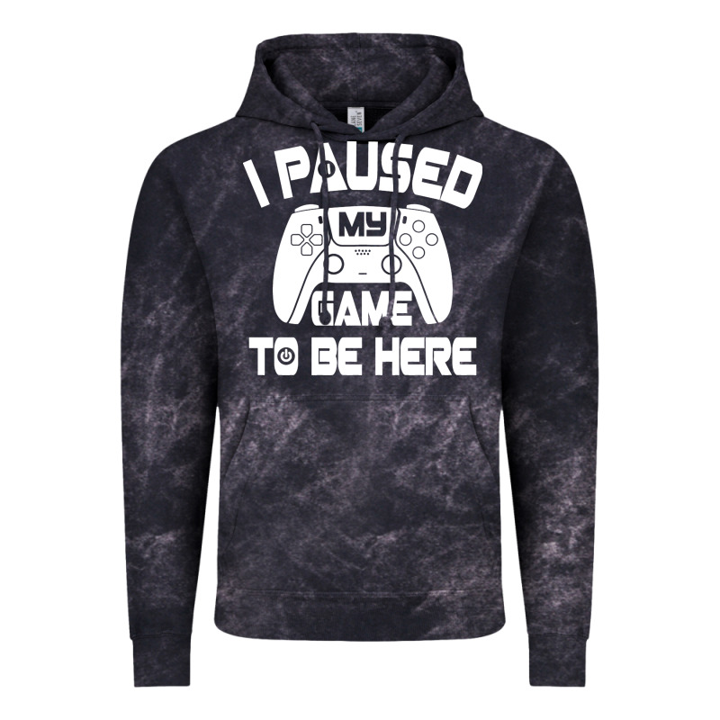 I Paused My Game To Be Here Vintage Hoodie by linhVisuals | Teevron