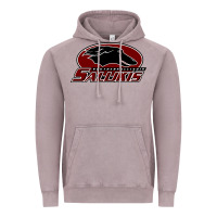 Vintage Zinc salukis Vintage Hoodie - linhVisuals