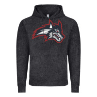 Vintage Black stony brook seawolves Vintage Hoodie - linhVisuals