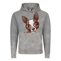 Cloud Rock zippy the boston terrier Vintage Hoodie - linhVisuals