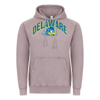 Vintage Zinc delaware sportss Vintage Hoodie - linhVisuals