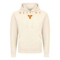 Vintage Artic destiny games Vintage Hoodie - linhVisuals