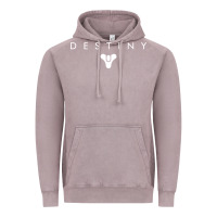 Vintage Zinc destiny games Vintage Hoodie - linhVisuals