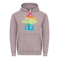Vintage Zinc live from daryl house Vintage Hoodie - linhVisuals