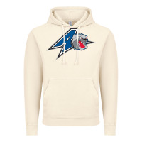 Vintage Artic unc asheville bulldogs Vintage Hoodie - linhVisuals