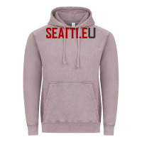 Vintage Zinc Seattle University Vintage Hoodie - linhVisuals
