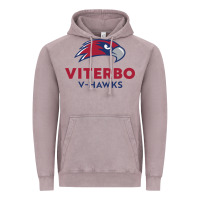 Vintage Zinc v-h4wks, viterbo, education Vintage Hoodie - linhVisuals