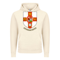 Vintage Artic university bristol Vintage Hoodie - linhVisuals