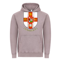 Vintage Zinc university bristol Vintage Hoodie - linhVisuals