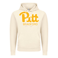 Vintage Artic pitt bradford, University of Pittsburgh at Bradford, Vintage Hoodie - linhVisuals