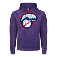 Cloud Purple new hampshire fisher cats Vintage Hoodie - linhVisuals