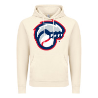 Vintage Artic new hampshire fisher cats Vintage Hoodie - linhVisuals