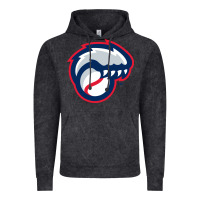 Vintage Black new hampshire fisher cats Vintage Hoodie - linhVisuals