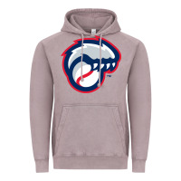 Vintage Zinc new hampshire fisher cats Vintage Hoodie - linhVisuals