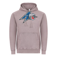 Vintage Zinc unc asheville bulldogs Vintage Hoodie - linhVisuals