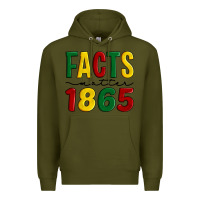 Army Green facts matter 1865 Premium Hoodie - Artiststas