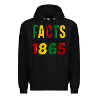 Black facts matter 1865 Premium Hoodie - Artiststas