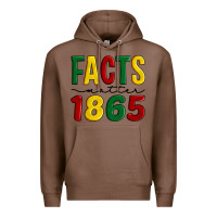 Chestnut facts matter 1865 Premium Hoodie - Artiststas