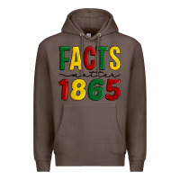 Coffee facts matter 1865 Premium Hoodie - Artiststas