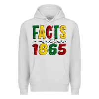 Dove Grey facts matter 1865 Premium Hoodie - Artiststas