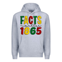 Heather Grey facts matter 1865 Premium Hoodie - Artiststas