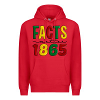 Red facts matter 1865 Premium Hoodie - Artiststas