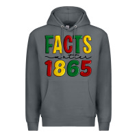 Rock facts matter 1865 Premium Hoodie - Artiststas
