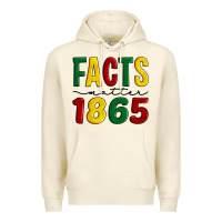Sandshell facts matter 1865 Premium Hoodie - Artiststas