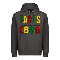 Smoke facts matter 1865 Premium Hoodie - Artiststas