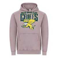 Vintage Zinc canisius golden griffins college Vintage Hoodie - linhVisuals