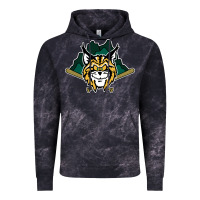 Cloud Black lynchburg hillcats Baseball Vintage Hoodie - linhVisuals
