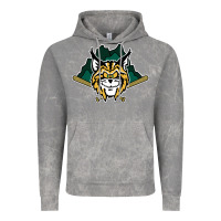 Cloud Rock lynchburg hillcats Baseball Vintage Hoodie - linhVisuals