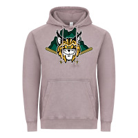 Vintage Zinc lynchburg hillcats Baseball Vintage Hoodie - linhVisuals