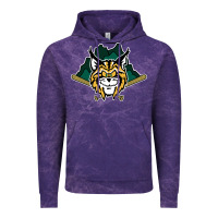 Cloud Purple lynchburg hillcats Baseball Vintage Hoodie - linhVisuals
