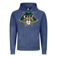 Vintage Denim lynchburg hillcats Baseball Vintage Hoodie - linhVisuals