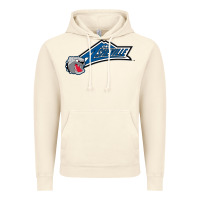 Vintage Artic unc asheville bulldogs Vintage Hoodie - linhVisuals