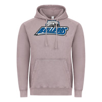 Vintage Zinc unc asheville bulldogs Vintage Hoodie - linhVisuals